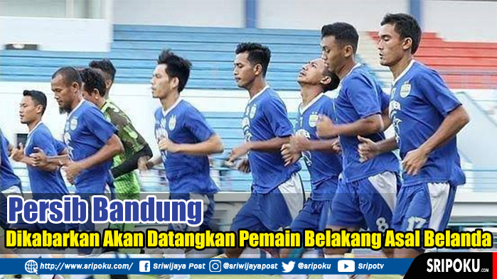 persib-bandung-dikabarkan-akan-datangkan-pemain.jpg