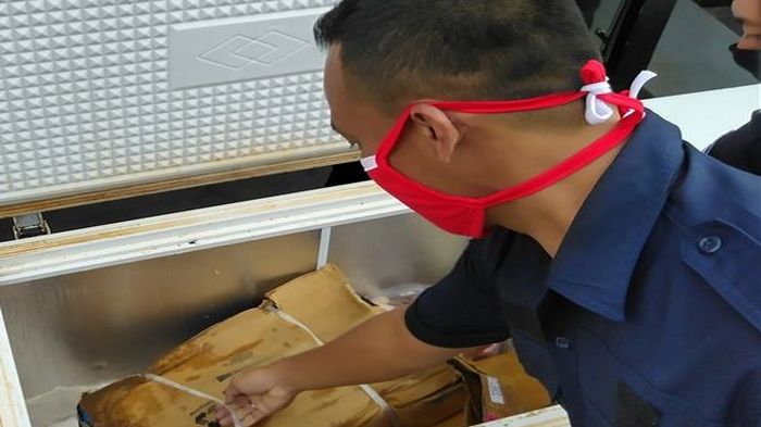 petugas-tengah-menyimpan-daging-celeng-di-lemari-pendingin-23.jpg