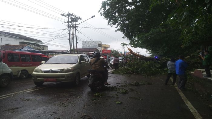 pohon-tumbang-di-jalan-di-panjaitan-plaju.jpg
