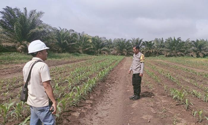 polisi-pantau-jagung.jpg