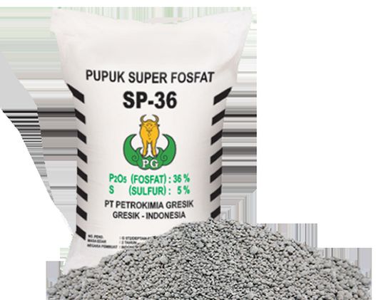 pupuk-sp-36_20161128_194226.jpg