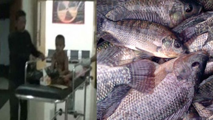 riswan-bocah-enam-tahun-telan-ikan-nila_20180410_105606.jpg