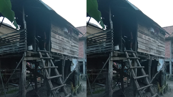 Tinggal di Gubuk Reot, Berbaring pun Tak Cukup, Nenek 60 Tahun di Ogan Ilir Butuh Uluran Tangan