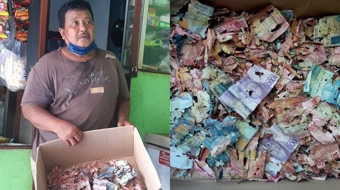 samin-warga-solo-yang-viral-karena-semua-uang-tabungannya-rusak-dimakan-rayap.jpg