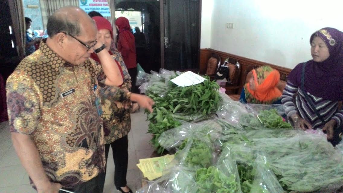 sayuran-segar_20160915_210255.jpg