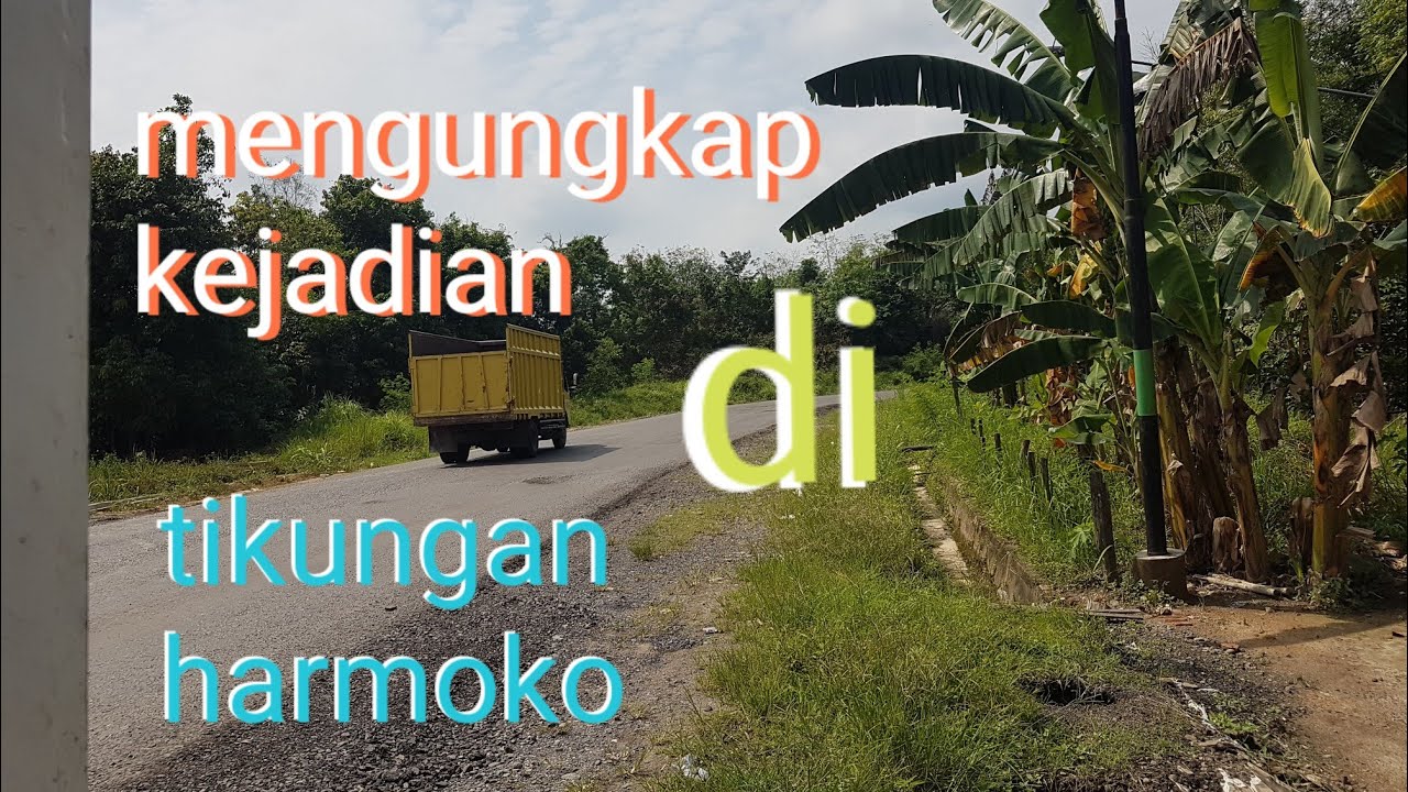 Sering 'Makan' Korban, Ternyata Ini Sejarah Tikungan Harmoko yang Berlokasi di Bayung Lencir Muba