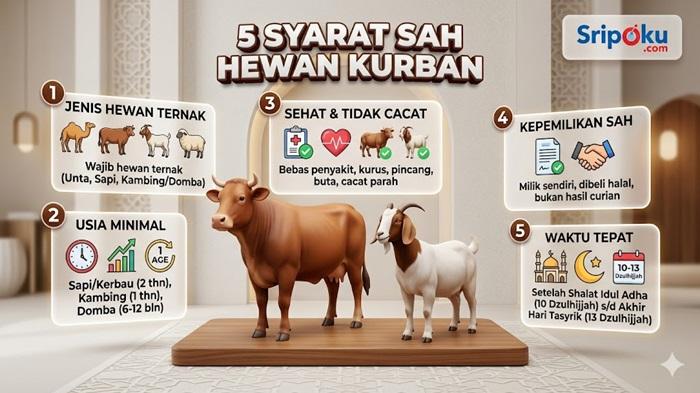 syarat-hewan-kurban-2026.jpg