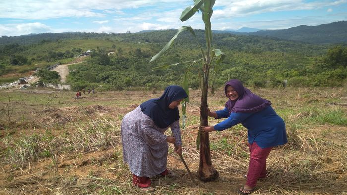 tanam-pohon-pisang-di-lahan-tpa.jpg