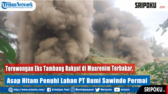 terowongan-eks-tambang-batubara-terbakar.jpg