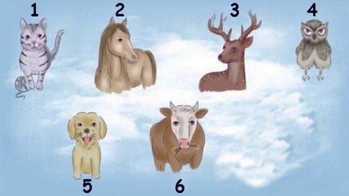 tes-kepribadian-hewan-pertama-yang-dipilih.jpg