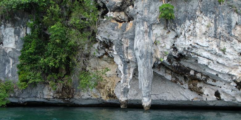 tugu-kemaluan-di-teluk-mayalibit-kabupaten-raja-ampat_20161022_114244.jpg