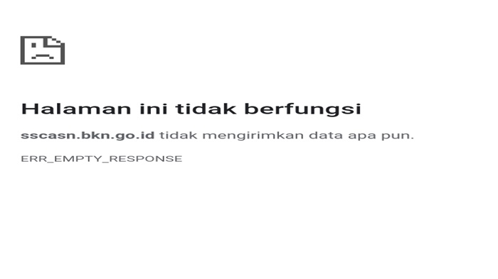 Website sscasn.bkn.go.id Down 'Diserbu' Pelamar CPNS dan PPPK 2021, Ini Kata BKN Palembang