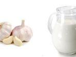14-manfaat-tak-terduga-minum-susu-dicampur-bawang-putih-begini-cara-membuatnya-agar-berkhasiat.jpg