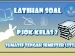 20-soal-PJOK-STS.jpg