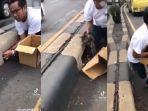 Aksi-penyelamatan-kucing-yang-bersembunyi-usai-ditabrak-kendaraan-bermotor-oleh-pencinta-kucing.jpg