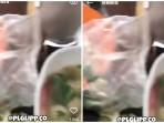 BAKSO-BERISI-KODOK-VIRAL-1.jpg