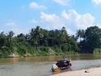 Buaya-muncul-di-oi.jpg