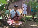 Cium Bau Bangkai di Belakang Rumah, Warga Musi Rawas Ini Kaget Ternyata Bunga Bangkai Sedang Mekar