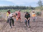 Dukung-Program-Ketahanan-Pangan-Polsek-Gelumbang-Muara-Enim-Tanam-Jagung-Bersama-Masyarakat.jpg