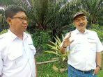 GMO-PT-Perkebunan-Minanga-Ogan-I-Wayan-Sudirsa-topi.jpg