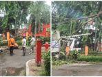 Hujan-deras-melanda-kota-Muara-Enim-dan-sekitarnya-menyebabkan-pohon-tumbang.jpg