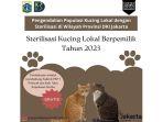 Jadwal-sterilisasi-kucing-gratis-DKI-Jakarta.jpg