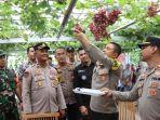 Melihat Wisata Kebun Anggur Satu-satunya di Desa Burai Ogan Ilir  yang Dikelola Emak-emak