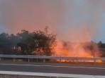 Kebakaran Lahan Dekat KM 48 Tol Indralaya-Prabumulih, Api Melalap Lahan yang Baru Dibuka  