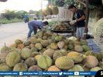 Kios-durian-milik-Rio-di-Jalan-Lettu-Karim-Kadir-Gandus-Kota-Palembang.jpg