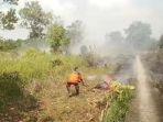 Sempat Dipadamakan Satgas Karhutla, Lahan di Sungai Rambutan Ogan Ilir Kembali Terbakar