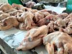 Harga Ayam di Musi Rawas Naik Rp5.000 Jadi Rp 40.000 Per Kilogramnya, Alasan Stok Terbatas  