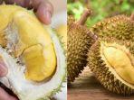 Manfaat-Buah-Durian.jpg