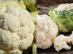 Manfaat-Kembang-Kol.jpg