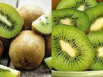 Manfaat-Kiwi.jpg