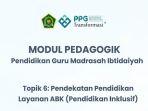 Modul-Pedagogik-PPG-PGMI-Topik-6.jpg