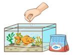 Modul-ajar-Prakrya-Budidaya-kelas-9-SMP-Unit-2-Pemeliharaan-Ikan-Sistem-Bioflok.jpg