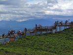 Ojek-Wisata-Bukit-Tungguan-di-Pagar-Alam.jpg