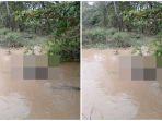 Kronologi Penemuan Mayat Pria Mengapung di Sungai Muratara, Jasad Korban Sudah Membengkak