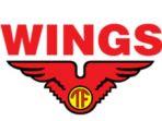 PT-Alam-Perkasa-Lestari-atau-Wings-Group.jpg