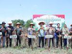 Panen-Jagung-Serentak-Kwartal-II.jpg