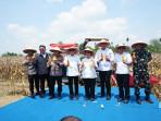 Panen-Raya-Jagung-Serentak-RI-di-Bunga-Mayang-OKUT.jpg