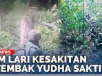 Pasukan-Yudha-Sakti-ketika-hendak-merampas-markas-OPM-di-Maybrat.jpg