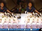 Pedagang-ayam-di-pasar-palimo-palembang-update-harga-ayam.jpg