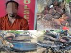 Pelaku Pencurian Sawit Milik Perusahaan di PALI Ditangkap, Dua Rekannya Jadi Buronan Polisi