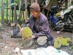 Mengenal Durian Khas Sukaraja, Jatuh Sendiri dari Pohon Usia 300 Tahun Punya Rasa Lebih Manis