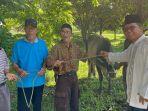 Penyerahan-sapi-kurban-secara-simbolis-oleh-PTBA.jpg