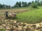 Petani-mulai-membajak-sawah-ketika-memasuki-musim-penghujan1.jpg