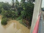 Pohon-tumbang-di-pinggir-sungai-enim.jpg