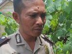 Polisi-budidaya-anggur.jpg