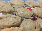 Resep-pempek-adaan-dari-200-gram-ikan-teri.jpg